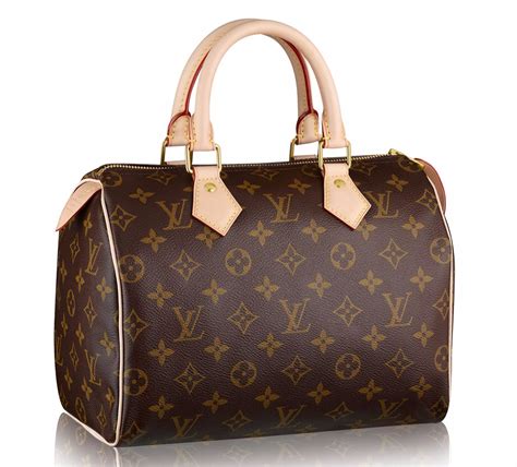 speedy 22 louis vuitton|louis vuitton speedy wallet.